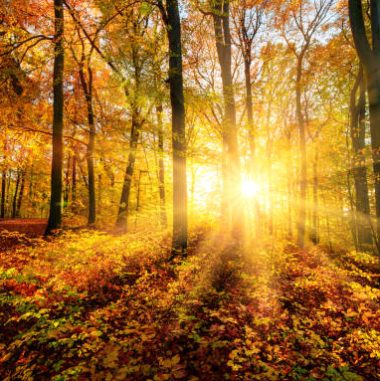 Herbstsonnenwende Herbstsonnenwende